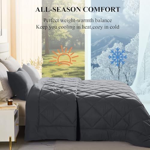 MIOTO 132x120 Alaskan King Comforter, Extra Large King Size Comforter Oversized, All Season Soft Lightweight Quilt Down Alternative Duvet Insert with 8 Corner Tabs, Dark Grey&Light Grey