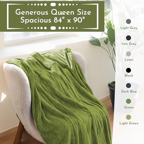 Electric Heated Blanket 84"x90" Queen Size, Light Grass Green