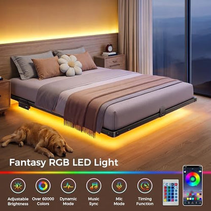 Floating Bed Frame Full Size with 4-Side Underbed RGB LED Lights & Charging Station, Modern Metal Platform Bed No Box Spring Needed, 10in Comfort Height, Sturdy 1000lbs Support for Bedroom
