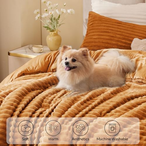 BEDELITE Fleece Twin/Twin XL Comforter Set, Fluffy Bed Set, Rust Orange
