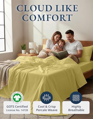 LANE LINEN Queen Size Bed Sheets 100% Organic Cotton Soft 4pc - Cocoon
