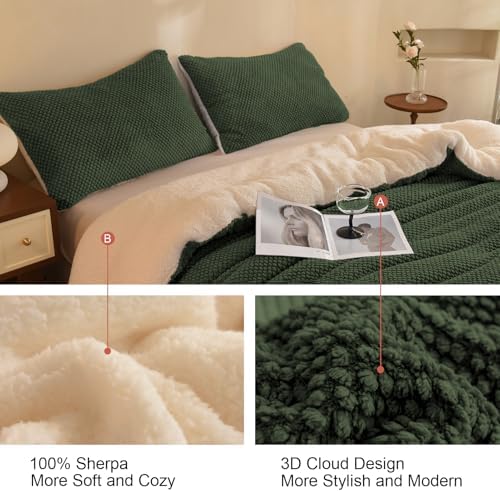 LLanCL 3D Jacquard Design Comforter Set, Ultra-Soft Warm Twin Size Sherpa Fur Plush 2-Pieces Sets Luxury Cozy Bedding with 1 Pillowcase (68"x90", Dark Green)