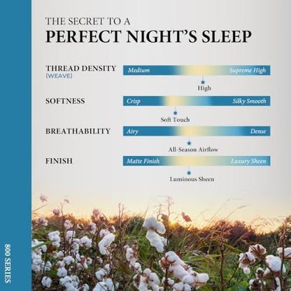 100% Egyptian Cotton Sheet Twin XL Size - 800 Series Elite Collection Egyptian Cotton Twin XL Size Bed Sheets Set (3 PC, Teal), Soft, Cooling, 16" Deep Pocket Luxury Hotel Bedsheet