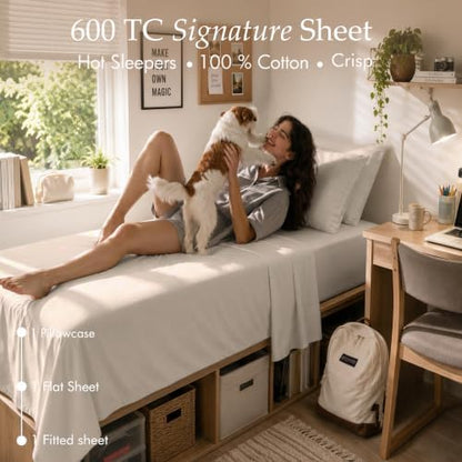 Threadmill 600 Thread Count Cotton Twin XL Sheet Set, Sateen, Taupe