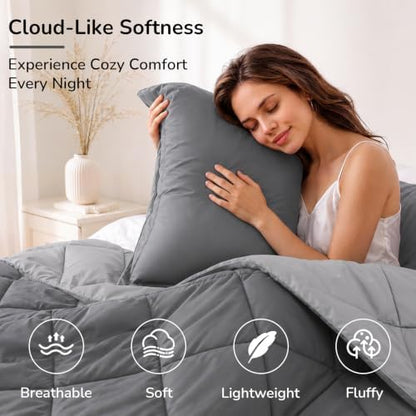downluxe Twin Comforter Set Soft Reversible 2 Pieces, Charcol/Grey