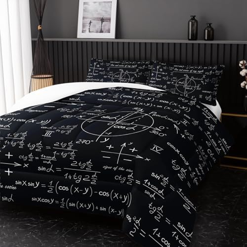 Math Equations Bedding Set for Boys,Mathematics Comforter Set, Math Geometry Axis Art Quilted Duvet for Teens Bedroom Decor,Modern Decorative 3 Piece Bedding Set with 2 Pillow Shams,King Size,Black