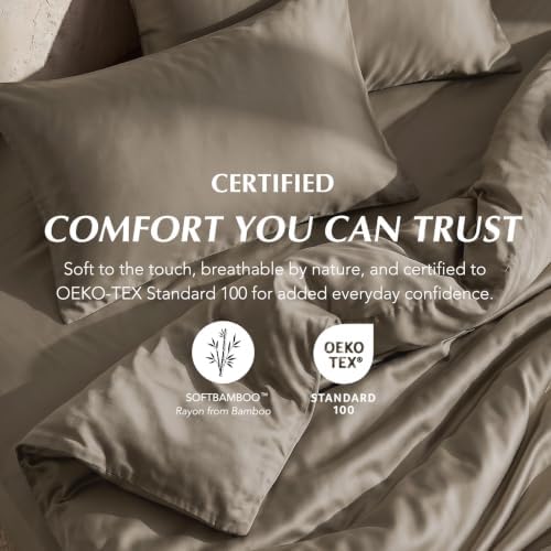 EverGrace 100% Rayon from Bamboo Duvet Cover Set, Queen Size, Mocha Brown