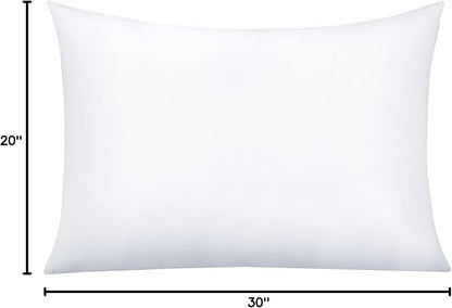 NTBAY Queen Pillowcase - 1 Pack Brushed Microfiber 20x30 Pillowcase - Soft, Wrinkle-Free, Fade-Resistant, Stain-Resistant, White with Envelope Closure