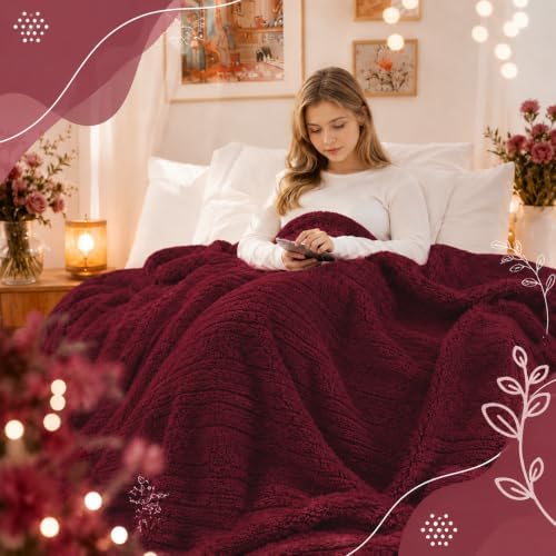 Eydna Electric Heated Blanket Full Size 72"×84" with 9 Heating Levels & 1-10Hs Auto Off，Double Sided Plush Sherpa, Energy Efficient, Machine Washable, Couch & Bed, Gifts for Women- Red