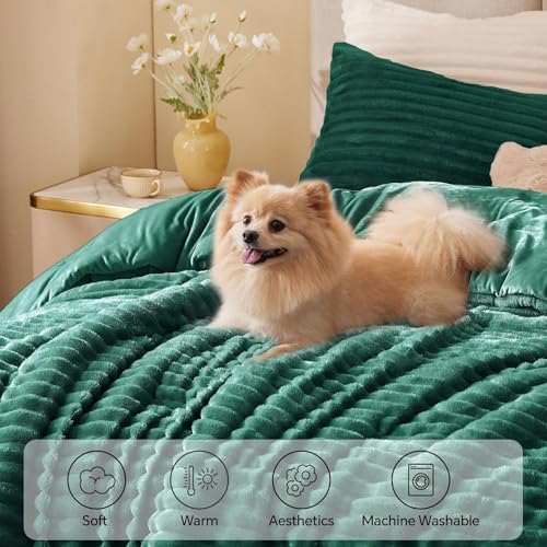 BEDELITE Fleece Full Comforter Set, Fluffy Bed Set, Dark Green