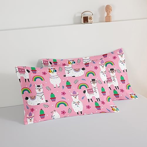 HOSIMA Kids Girls Pink Comforter with 2 Pillowcases,Cute Llama Alpaca Bed in a Bag Queen Comforter Set Animal Bedding Sets for Room Decor,Rainbow Cactus Flower Toddler Comforter Kawaii Bedding.
