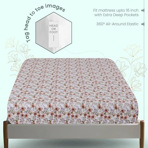 Feather & Stitch Queen Size Fitted Sheet Only 100% Cotton 300 TC Lightweight Cooling Breathable Percale Weave Sheet 16" Regular Elastic Deep Pocket Soft Bedding Mattress Sheet Washable-Queen, Florence