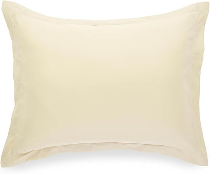 Amazon Basics Lightweight Microfiber 2-Piece Duvet Cover Set, Twin/Twin XL, Beige