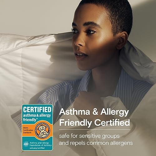 Sijo AiryWeight Tencel Sheet Set, 100% Lyocell Derived from Eucalyptus, Buttery Soft, Architectural Digest Best Cooling Sheets Winner - 3pc - 1 Pillowcase 1 Fitted 1 Top (Clay, Twin)