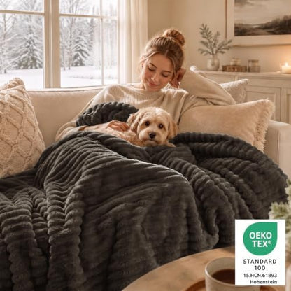 CozyLux Fleece Queen Comforter Set, 3 Piece Winter Warm Brown Bedding
