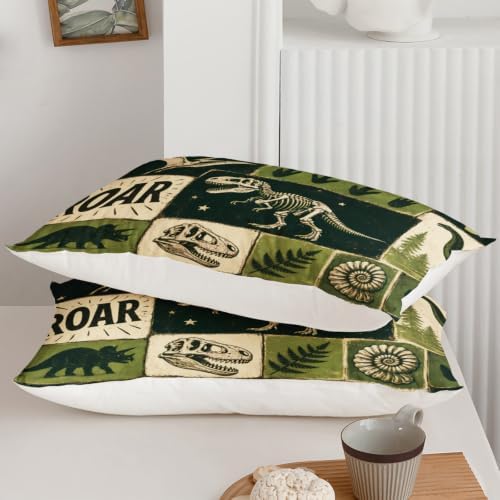 BSNTHO Dinosaurs Queen Size, Comforter Set Green Print Kids Comforter 3Pcs