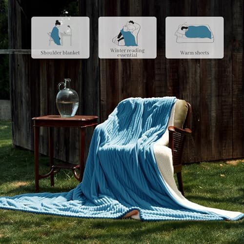 Texciting Heated Blanket Queen Size,Electric Blanket,ETL Certified,Blue
