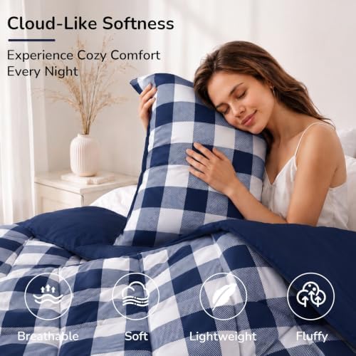 downluxe Lightweight Plaid Comforter Set (Queen) with 2 Pillow Shams - 3-Piece Set - Blue/White Plaid - Down Alternative Reversible Comforter