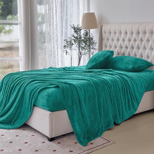 Elegant Comfort Luxuriously Soft 4-Piece Velvet Plush Flannel Sheet Set - Premium Quality - Cozy Warm, Anti-Static, Non Pilling Fuzzy Velvet Flannel Fleece Deep Pocket Sheet Set - Twin, Turquoise