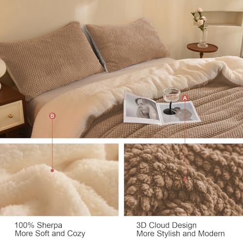 LLanCL 3D Jacquard Design Comforter Set, Ultra-Soft Warm Twin Size Sherpa Fur Plush 2-Pieces Sets Luxury Cozy Bedding with 1 Pillowcase (68"x90", Beige)