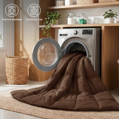 CozyLux Queen Size Comforter Set, 3-Piece Box-Stitched, Brown