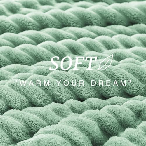 EXQ Home Fluffy Comforter Set Full Size,3 Pieces Bed Set,Sage Green