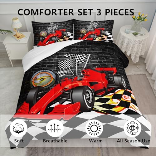 Axolotl Race Car Comforter Set King Size,Extreme Sports Bedding for Boys Teens Kids Girls Room Decor,Car Racing Bedding,Cool Speed Cars Quilt Bed Set with 1 Comforter 2 Pillowcases,Black Red