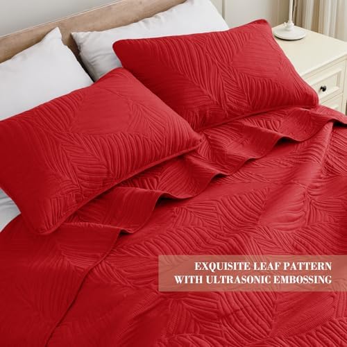 Exclusivo Mezcla Lightweight Twin Size Quilt Bedding Set, Soft Microfiber