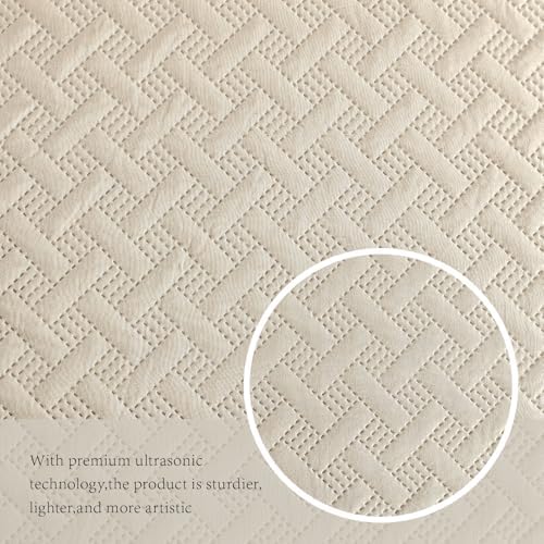 FLYMME Queen Quilt Bedding Set Beige Lightweight Bedspreads Full Size,Soft Microfiber Bed Coverlet for All Season (1 Quilt, 2 Shams)
