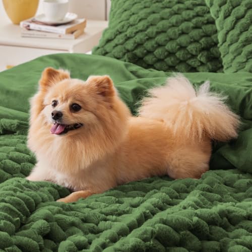 BEDELITE Fluffy Queen Comforter Set, Olive Green Fleece Bed Set 3 Pieces