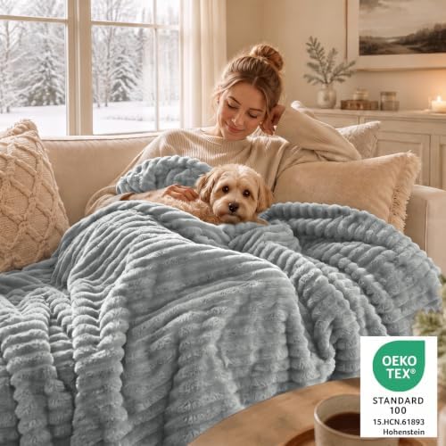 CozyLux Fleece Queen Comforter Set, 3 Piece Winter Warm Light Grey Bedding