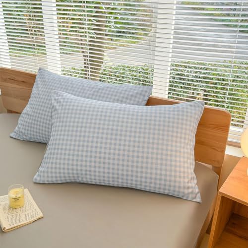 NSNLGSGC Light Blue Gingham Duvet Cover Set, Twin