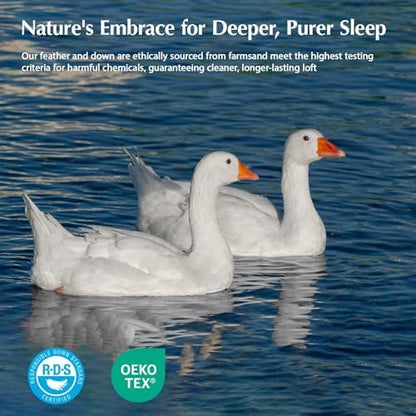 Pacific Coast Goose Down Fiber Comforters Super King Duvet Insert, All Season White Comforter, 3D Hidden-Stitch Baffle Box Design, 8 Tabs, Gifts for Women/Men, Extra Fluffy Luxury Duvet (120"x120")