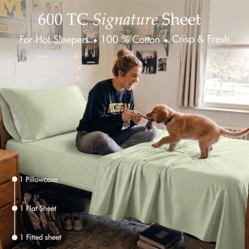 Threadmill 600TC Cotton Twin Sheet Set, Sateen, Damask Stripe, Sage Green