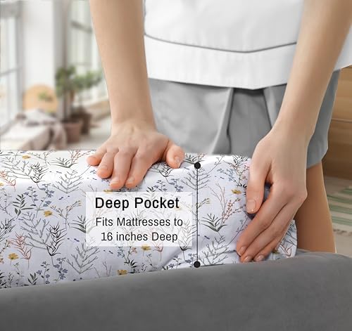 RUVANTI 100% Cotton Percale Sheets, Queen Size, Aroma (Pack of 2)