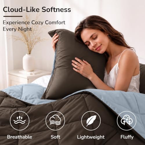 downluxe Twin Comforter Set Soft Reversible 2 Pieces, Brown/Blue