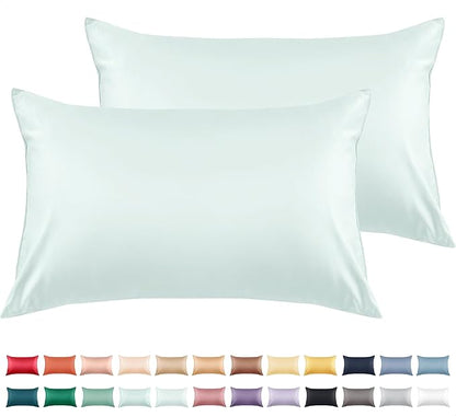 Warmstar Cotton Pillow Cases Queen Size Set of 2, 600 Thread Count Pillowcases 20x30 Inches, Soft Long Staple Cotton Pillowcases Breathable with Envelope Closure,Sky Blue