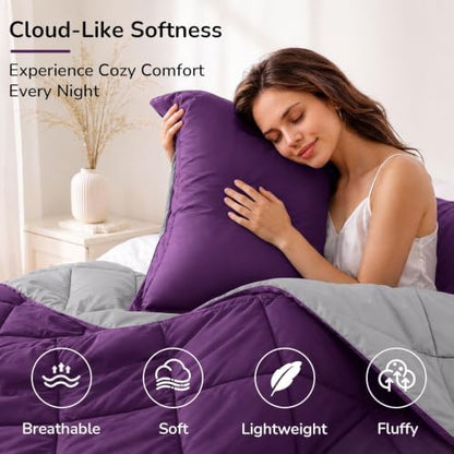 downluxe Twin Comforter Set Soft Reversible 2 Pieces, Purple/Grey