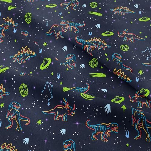 6pcs Dinosaur Comforter Set for Boys,Queen Size Bedding Sets for Teen,Kids Comforter Set with 1 Quilt+1 Flat Sheet+1 Fitted Sheet+2 Pillowcases+1 Cushion Cover(Dinosaur-D Queen)