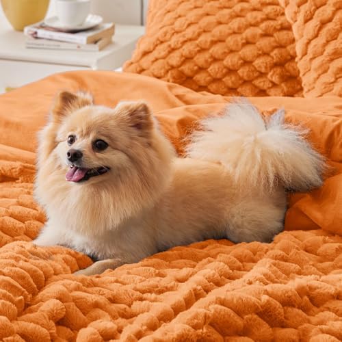 BEDELITE Fluffy King Comforter Set, Burnt Orange Fleece Bed Set 3 Pieces