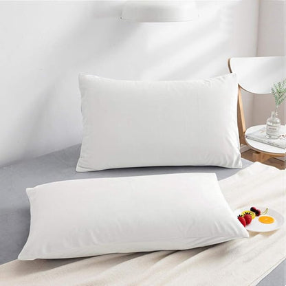 NTBAY 2 Pack Zippered Velvet Queen Pillowcases, Super Soft and Cozy Luxury Fuzzy Flannel Pillow Cases with Zipper, 20x30 Inches, White