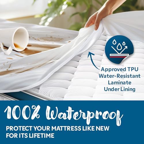 Guardmax Short Queen Mattress Protector Zippered, Bed Bug Mattress Cover