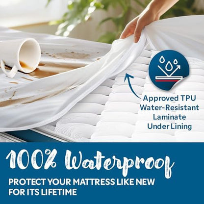 Guardmax Short Queen Mattress Protector Zippered, Bed Bug Mattress Cover