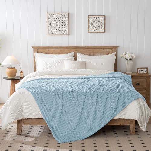 Blue Throw Blanket - Soft & Fluffy Fleece, Cute & Aesthetic, Perfect for Sofa, Couch, Chair, Bed, Living Room & Bedroom, All-Season Use, Plush & Cozy Decorative Blanket 50x60
