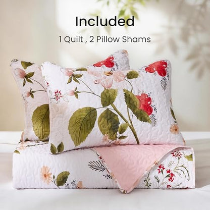 EXQ Home Printed Quilt Set Full Queen Size Monet Graden Bedspread Set
