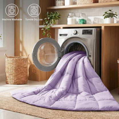 CozyLux King Size Comforter Set, 3-Piece Box-Stitched, Lavender