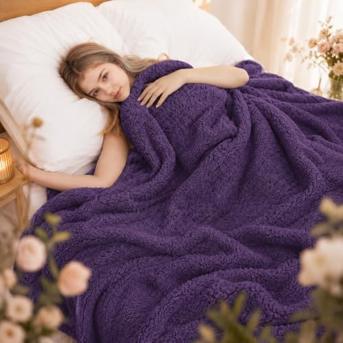 Eydna Electric Heated Blanket Twin Size 62"×84" with 9 Heating Levels & 1-10Hs Auto Off, Heating Blankets Double Sided Plush Sherpa, Energy Efficient, Machine Washable, Gifts for Grandma- Dark Purple
