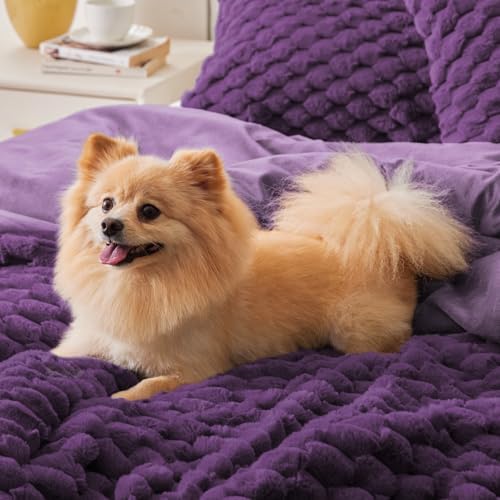 BEDELITE Fluffy Queen Comforter Set, Purple Fleece Bed Set 3 Pieces