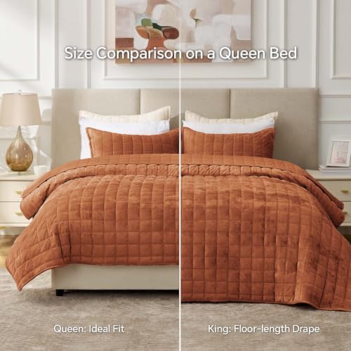 BEDELITE Velvet Quilt Set Queen Size, Luxury Velvet Comforter Bedding