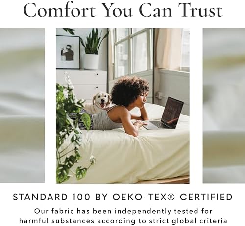 Bamboo Bay 6 Piece Queen Size Sheet Set, 100% Viscose Made from Bamboo, Breathable Ultra Soft Cooling Bed Sheets for Hot Sleepers, Beddings with Deep Pockets Fit 16" Mattress, Ivory